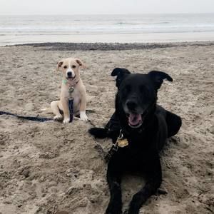 Meet your Posher, Kerri